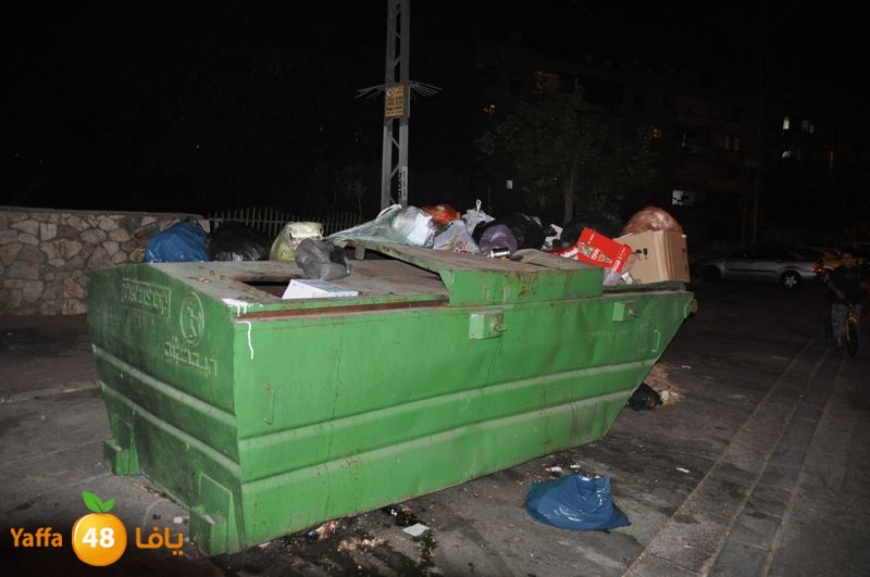 trash lud 907 (37).JPG